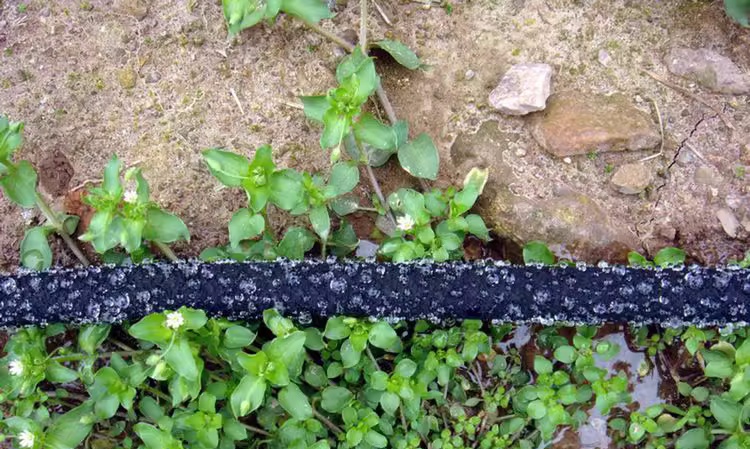Waarom kan 'n rubberslang as soaker-slang gebruik word?